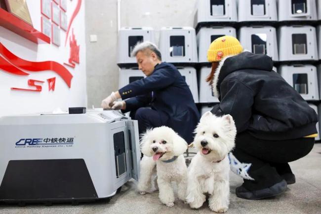 宠物可以独自“坐”高铁了