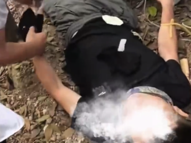 男子爬山误食野草中毒 事发公园:野外徒步不要触碰动植物