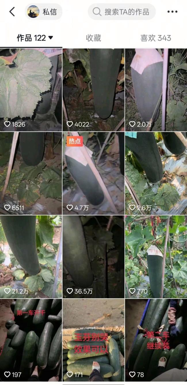 “只有砍错,没有放过”!男子听声辩瓜失误被调侃错杀好瓜