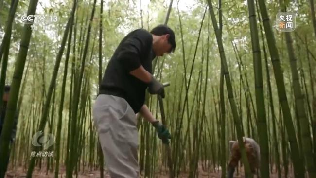 救钱袋子如何鼓起来 三大方向明确 增收路径探索中