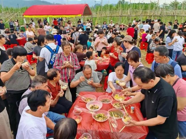 游客20天清空50畝甘蔗 甜蜜救援引發(fā)溫情派對(duì)