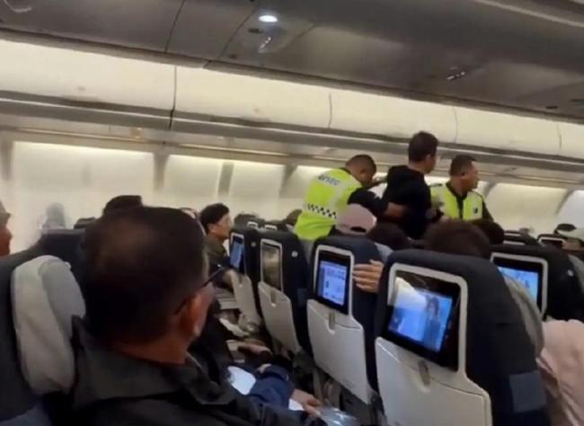 马航回应乘客拍打空姐被带离机舱