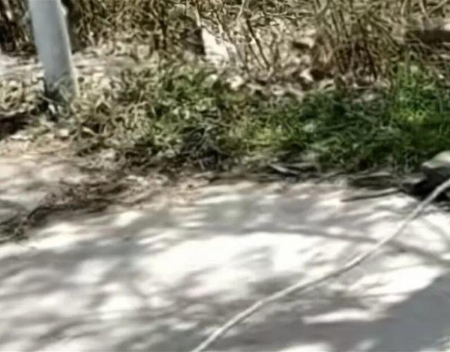 遭绳子锁喉男孩转诊北京