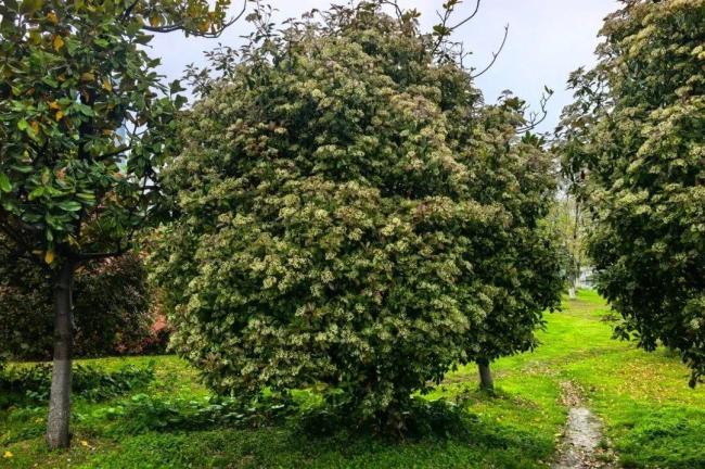 暴雨、大暴雨要来了 广东将开启多雨模式