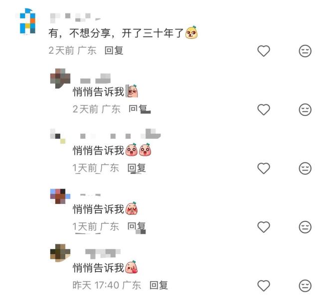 深圳这些宝藏小店也很有故事 全网最不想火的店