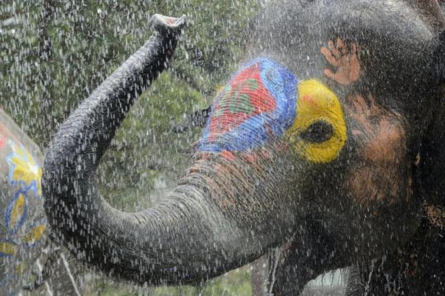 RIIZE去泰国过泼水节了 全球级湿身派对等你来战