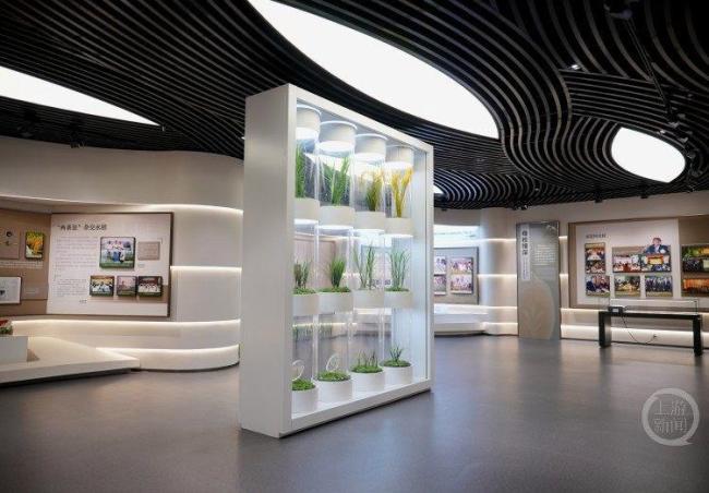 西南大学袁隆平纪念馆开馆 传承科学家精神