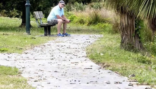 加拿大鹅快把新西兰人逼疯了 大鹅泛滥成灾