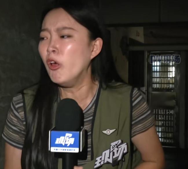 居民喂流浪猫致小区臭气熏天 记者探访现场“yue”个不停