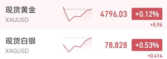 美股纳指再创新高 科技股涨跌互现