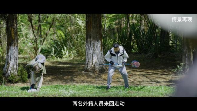 钓鱼佬立功!外籍人员违规捕蝶被识破