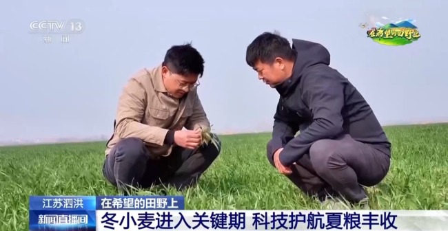 機器播種 “智慧春耕”正在進行中
