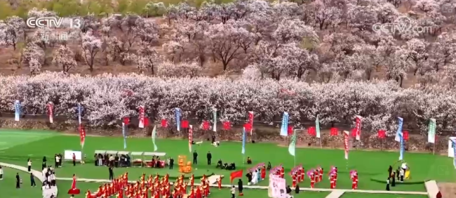 以花为媒、以节兴旅 解锁多样春日限定浪漫