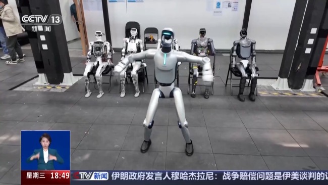 2026人形机器人半马选手都有谁 速度与智能并存