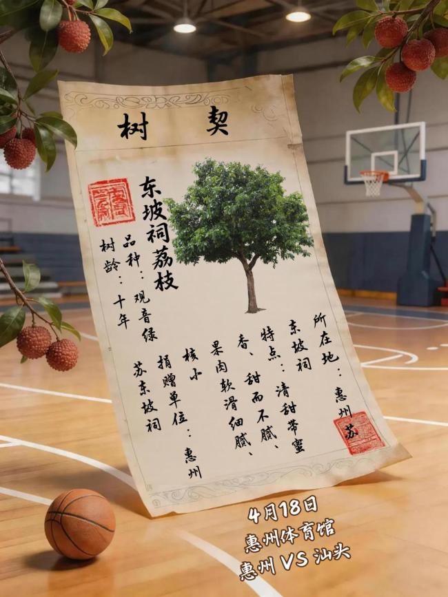 粤BA第四轮深圳队和中山队豪取四连胜 硬核对决看点十足