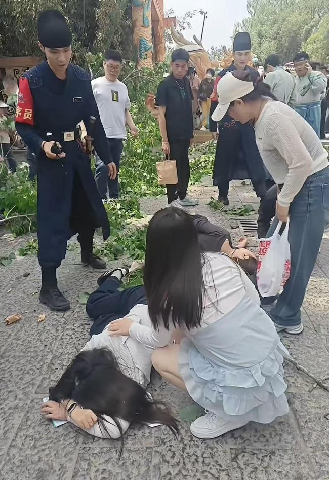 万岁山树干断落砸伤3名游客 景区安全隐患引关注