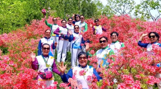 汝阳西泰山杜鹃花海霸屏指南 赏花季盛大开幕