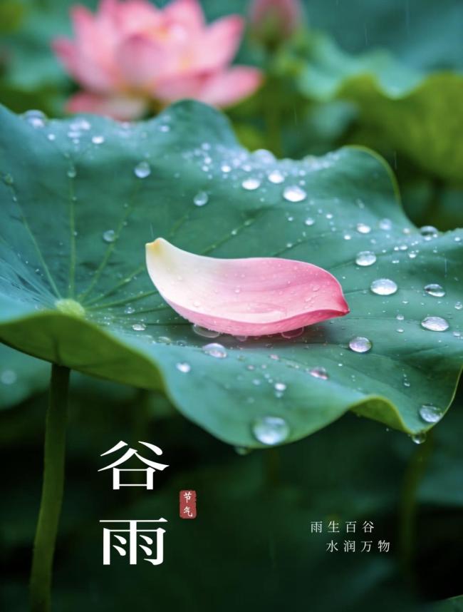 三月初五“月忌日” 4事别犯忌讳 顺应自然智慧生活