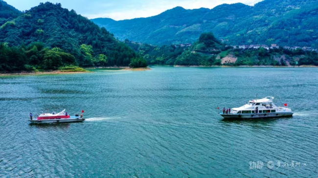 探秘贵州喀斯特地貌上的万物生 生态奇迹绘绿意