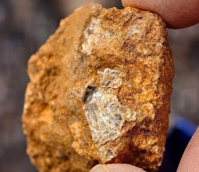 官方回应男童疑发现金矿：有可能 8岁男童上山挖野菜疑似发现金矿