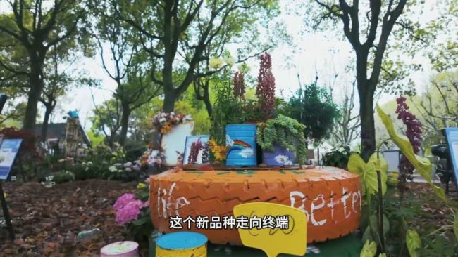 從良渚創(chuàng)客空間到烏江古鎮(zhèn) 看見中國經(jīng)濟的春意