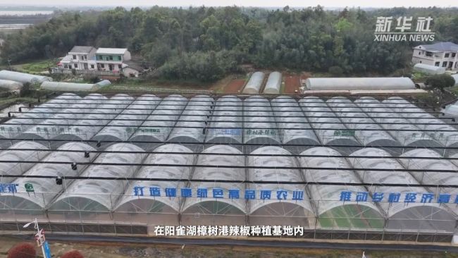 從實驗室到新品牌——新質生產力一線觀察