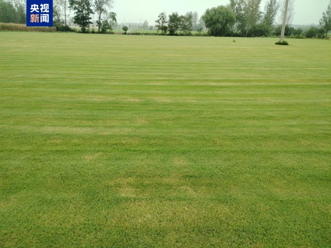 两部门通报10地违法违规问题 典型案例曝光