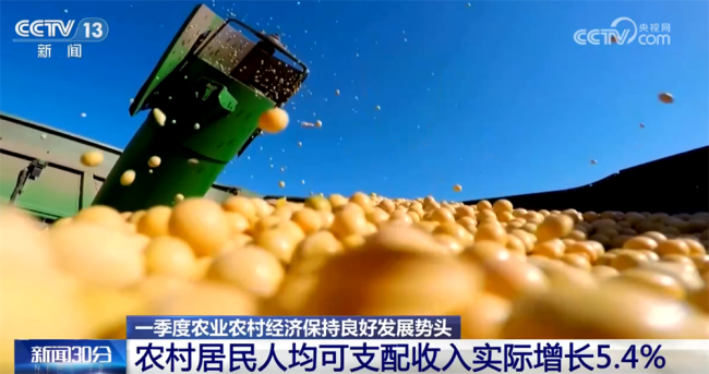 一季度农业农村经济向稳向好迎来“开门红”