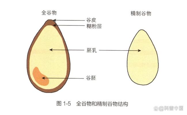 一种被严重忽视的粗粮产品！冲泡就能吃，营养丰富还升糖慢 燕麦麸皮的理想选择