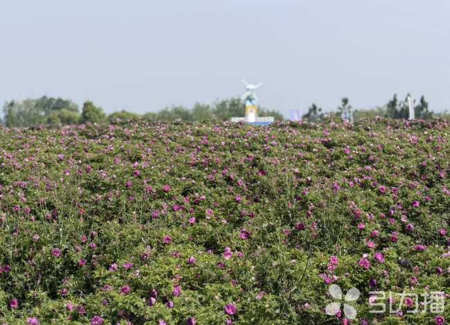 江苏吴江又一新地标试营业 无界美罗小奢中心开业