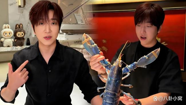 白冰7小时掉粉20万 税务丑闻引发粉丝流失