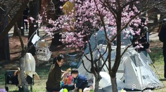 五一假期10大城市上榜了 日照体验经济火出圈