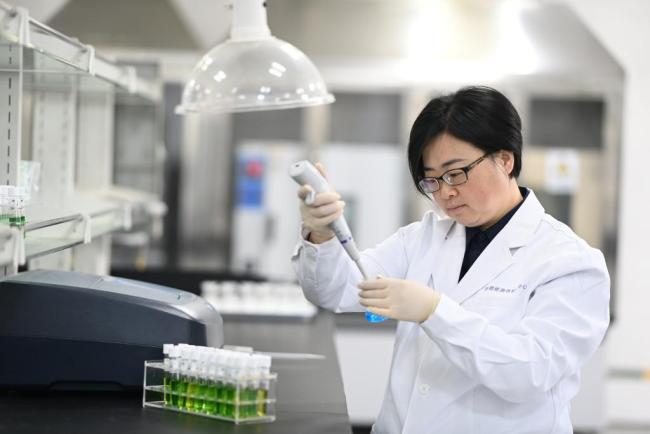上海市区的垃圾都去哪儿了 变废为宝的生态绿洲