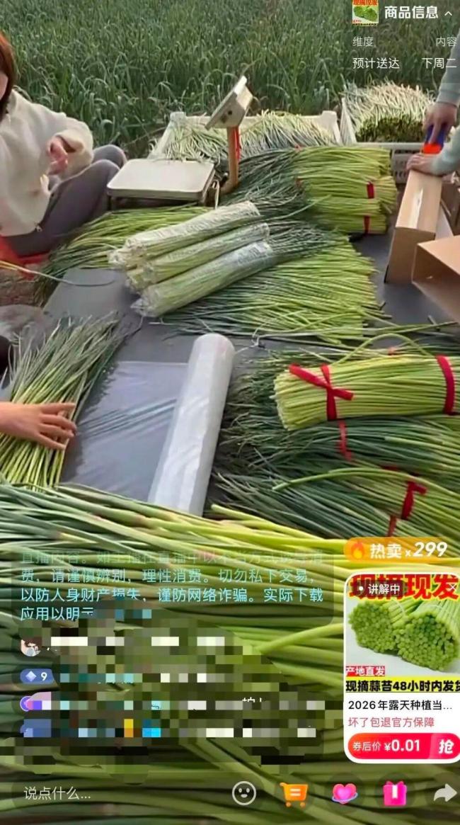 蒜农犯难：请人抽1斤蒜薹倒贴钱 蒜薹滞销难题凸显