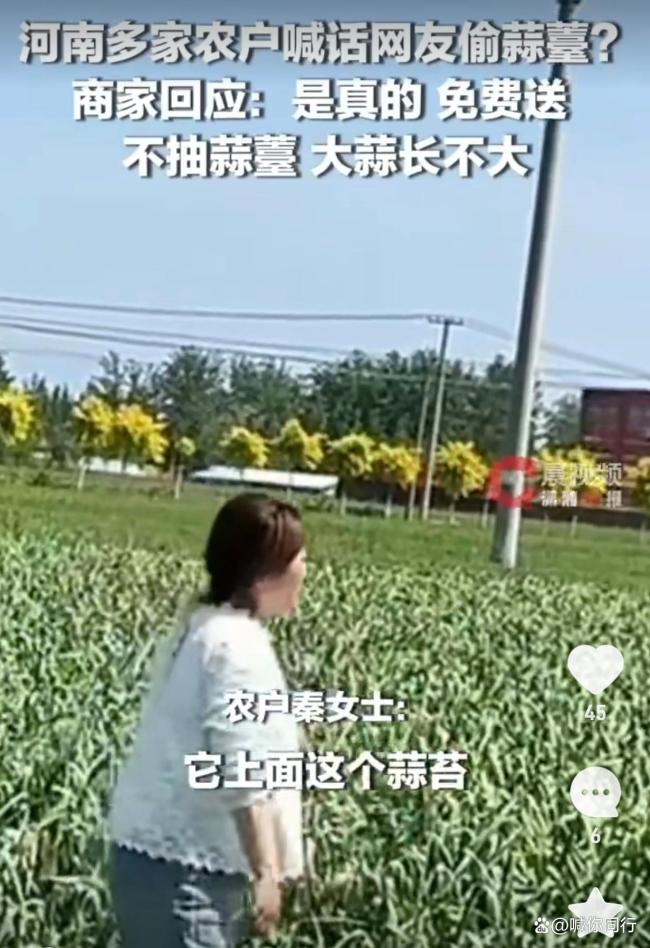“希望今天都来俺地里偷蒜薹”