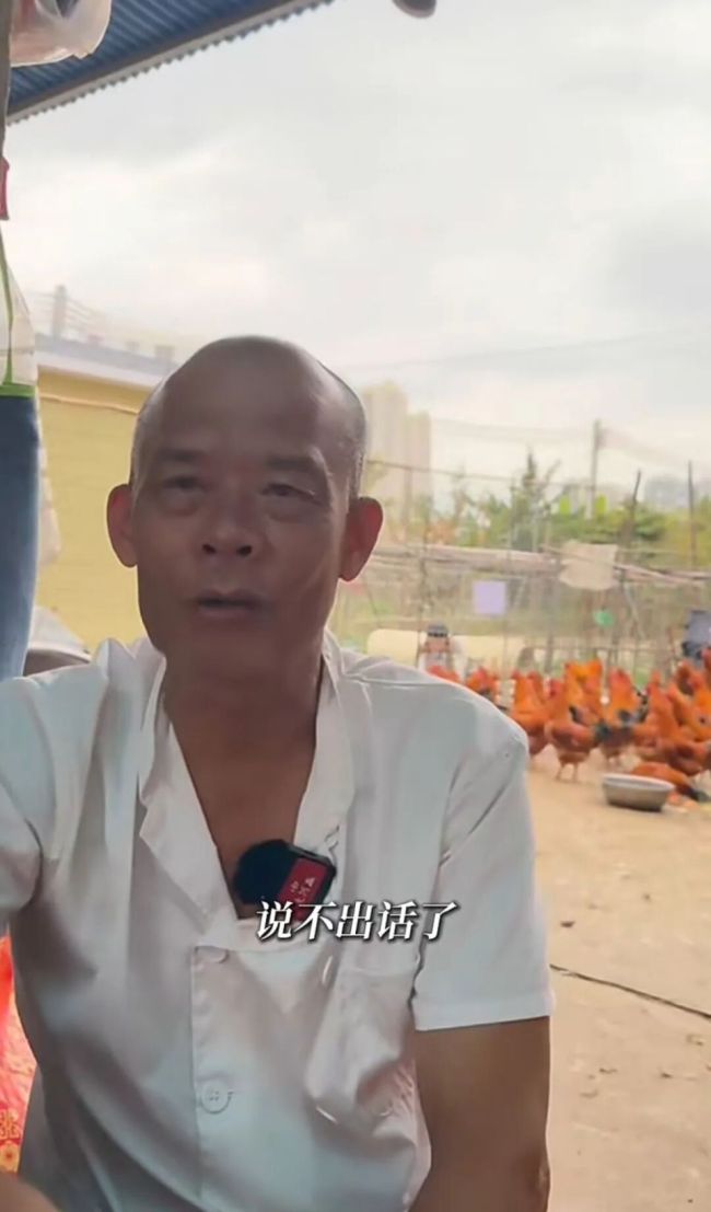 莫氏鸡煲爆火 老板回应日赚6万 反骨老板意外走红