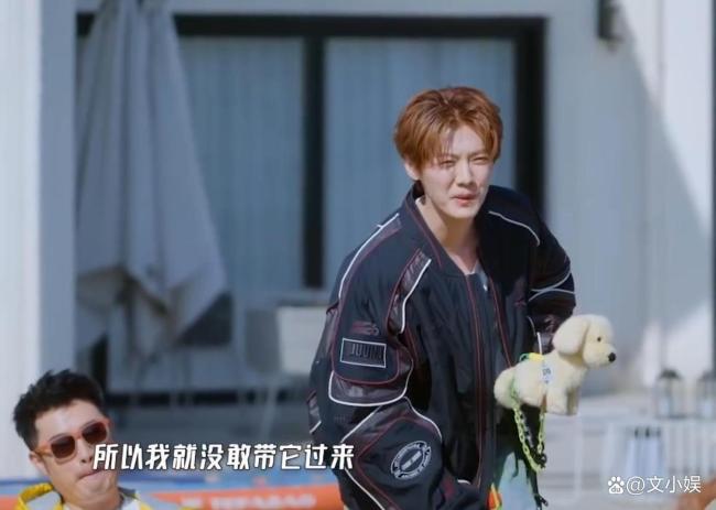 鹿晗的狗狗馒头9岁了 暖心考量背后的尊重
