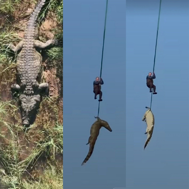南非一安樂(lè)死鱷魚(yú)腸道內(nèi)發(fā)現(xiàn)人類(lèi)遺骸