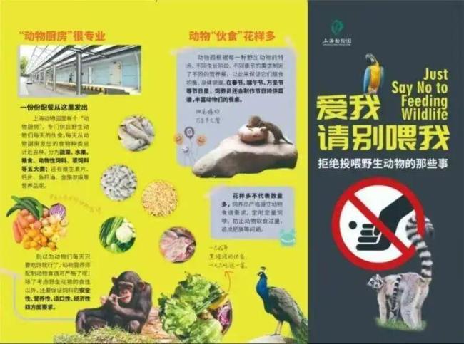 游客投喂动物警察都出动了 投喂问题频发引关注
