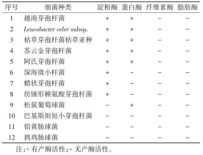 这种虫子看到一只 家里可能有巨额只 下水谈里的“预警灯”