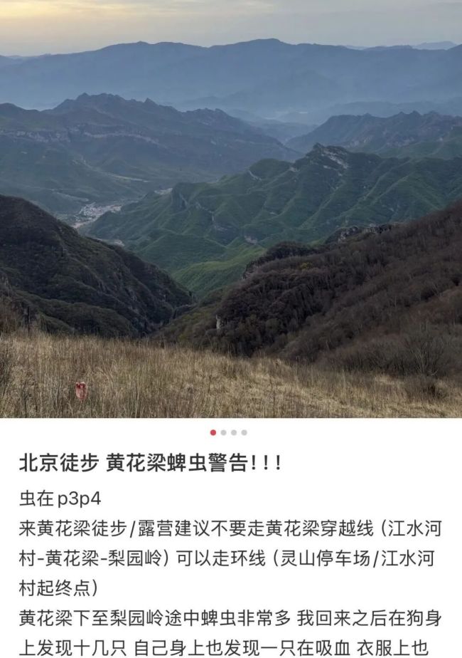 警惕！北京已有多人被叮咬，是什么毒虫？ 蜱虫活跃季需小心