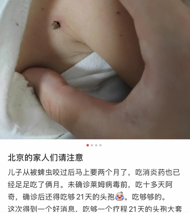 警惕！北京已有多人被叮咬，是什么毒虫？