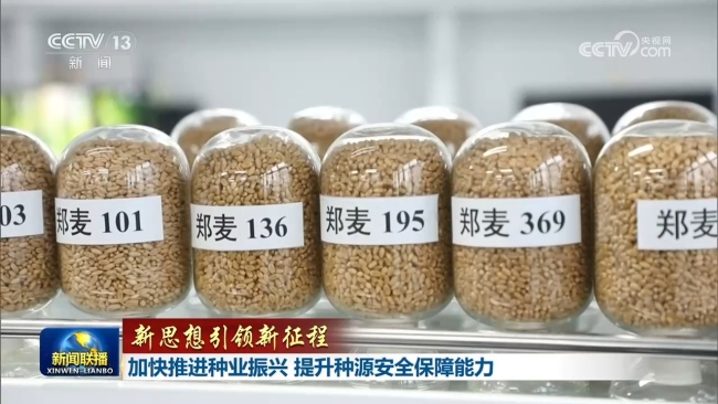 【新思想引领新征程】加快推进种业振兴 提升种源安全保障能力