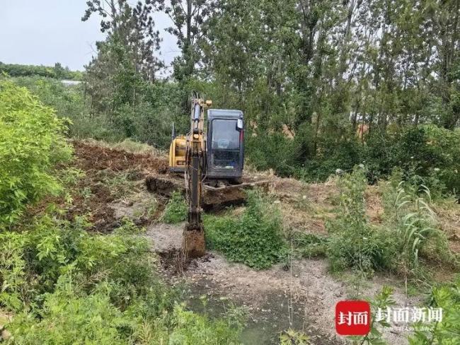 湖北襄阳百亩地疑遭山顶奶牛场沾污 多部门长入探望介入