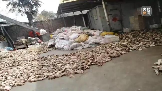 央视曝光后徐州贾汪开展排查 严打违法排污
