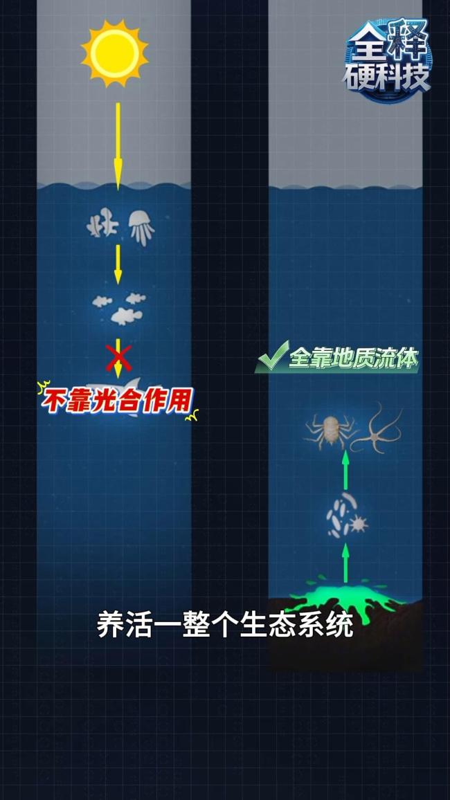 中国领衔解锁南半球深渊密码 探索深海新物种与地震遗迹