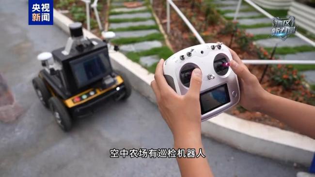 深圳娃把天台玩成“空中农场”！种菜 黑科技，这才是湾区少年的打开方式 动手实践促成长