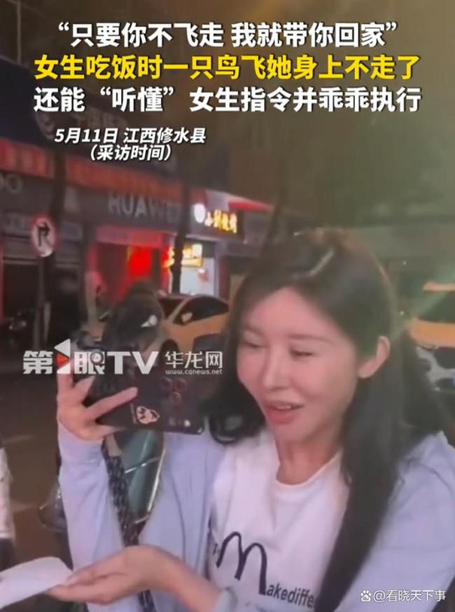女子吃饭时一只鸟飞身上不走了