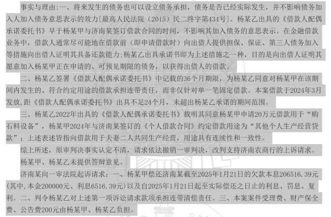 20万借款连带责任争议“落槌” 配偶承诺时效成焦点
