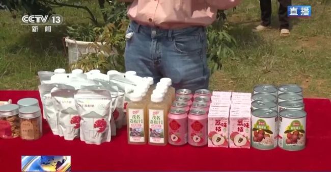广东荔枝开启“认养”模式 定制服务促增收